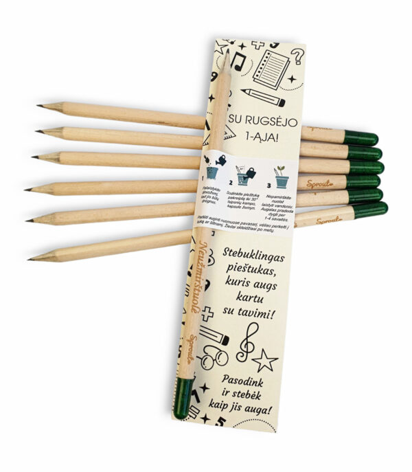 THE GROWING PENCIL ,,Su rugsejo 1-aja,,