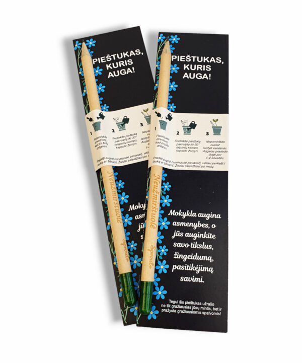 THE GROWING PENCIL ,,Mokykla augina asmenybes...,, - Image 3