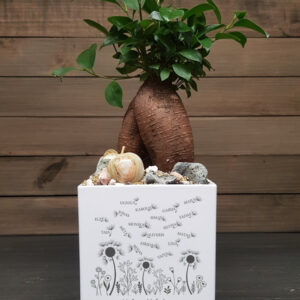 Flowers pot for teacher with kids name ,,Mylima mokytoja,aciu,kad padedate mums augti,,