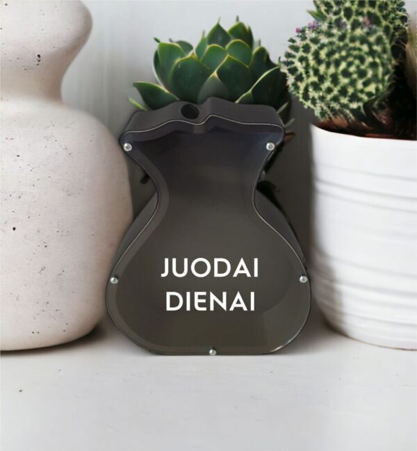 3D Piggy bank ,,Juodai dienai,,