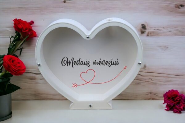 3D Piggy bank ,,Medaus menesiui,,