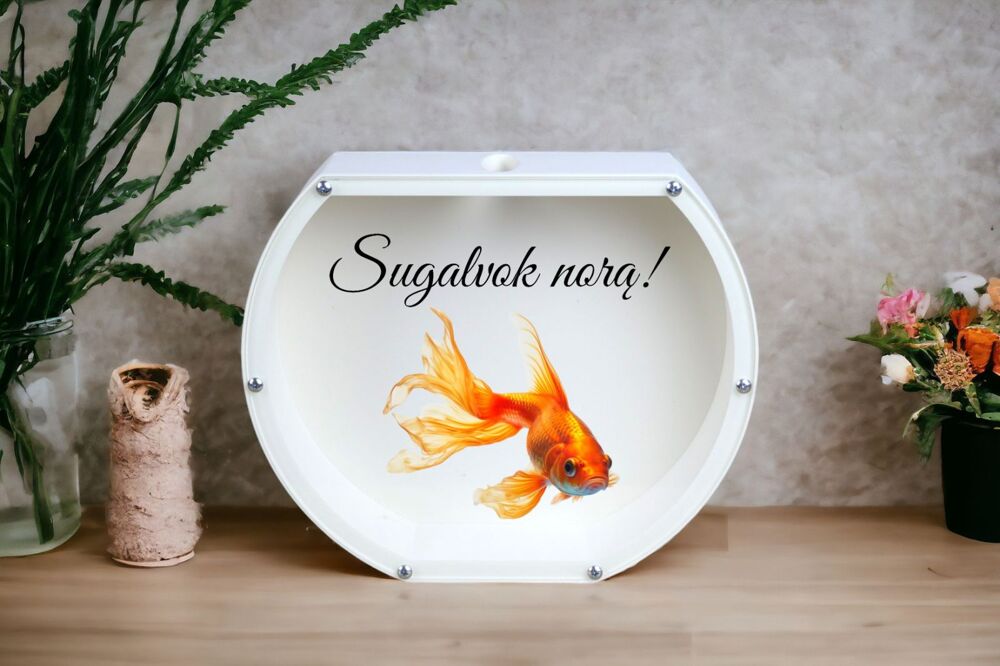 3D Piggy bank, aquarium,, Sugalvok nora,,