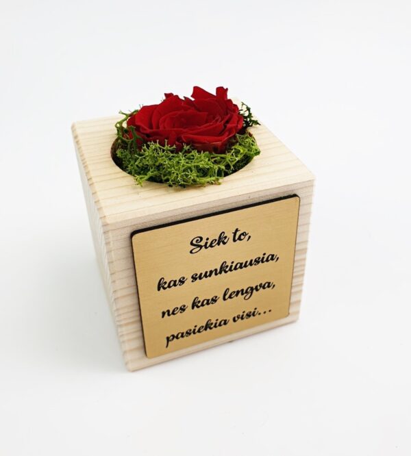 Preserved rose ,,Siek to kas sunkiausia...,,