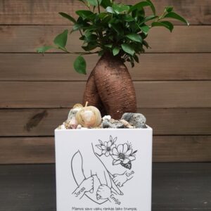 Personalised Flowers pot „Mamos savo vaiku rankas laiko trumpai...,, (ANY NAME)