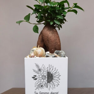 Flowers pot „Su Gimimo diena,,