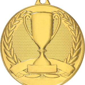 Metal medal NR5