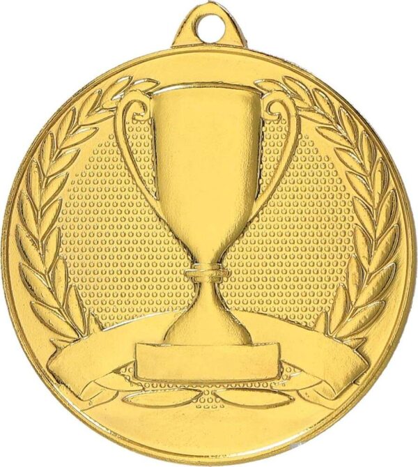 Metal medal NR5