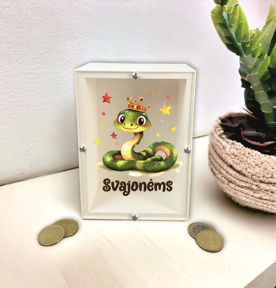 3D Piggy bank,,Svajonems,,