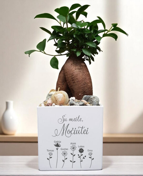Personalised Flowers pot „Su meilei,Mociutei,, (ANY NAME) - Image 3