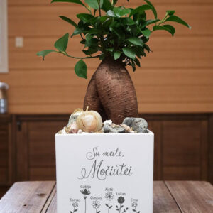 Personalised Flowers pot „Su meilei,Mociutei,, (ANY NAME)