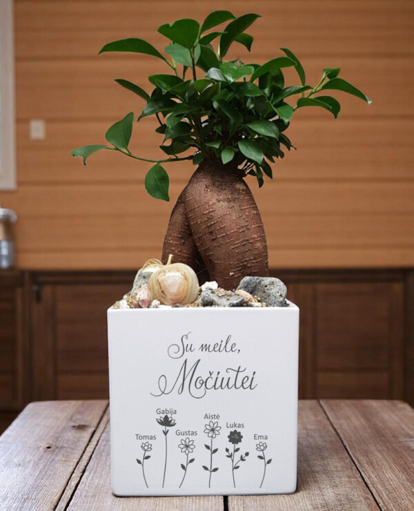 Personalised Flowers pot „Su meilei,Mociutei,, (ANY NAME)