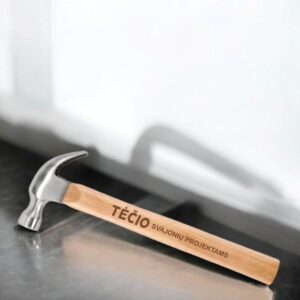 Hammer ,,Tecio svajoniu projektams,,