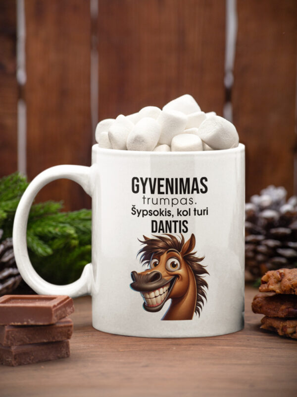 Cup ,,Gyvenimas trumpas. Sypsokis,kol turi dantis,,