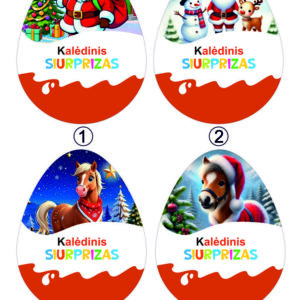 Easter egg box ,, Kaledinis siurprizas,,